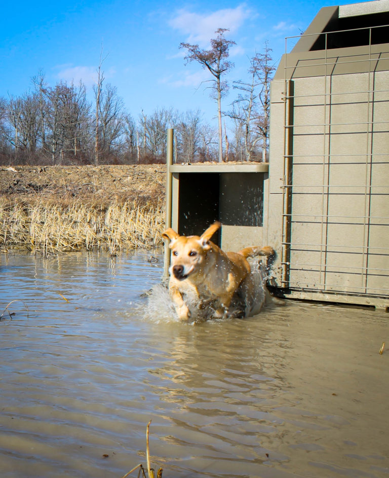 Duck Blind | Rhino Building Products, Inc.